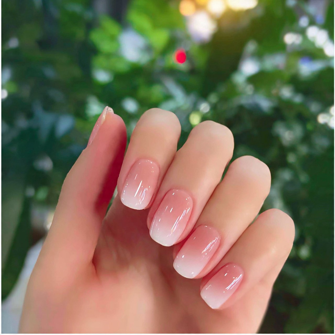 neutral ombr baby boomer with a glossy finish natu