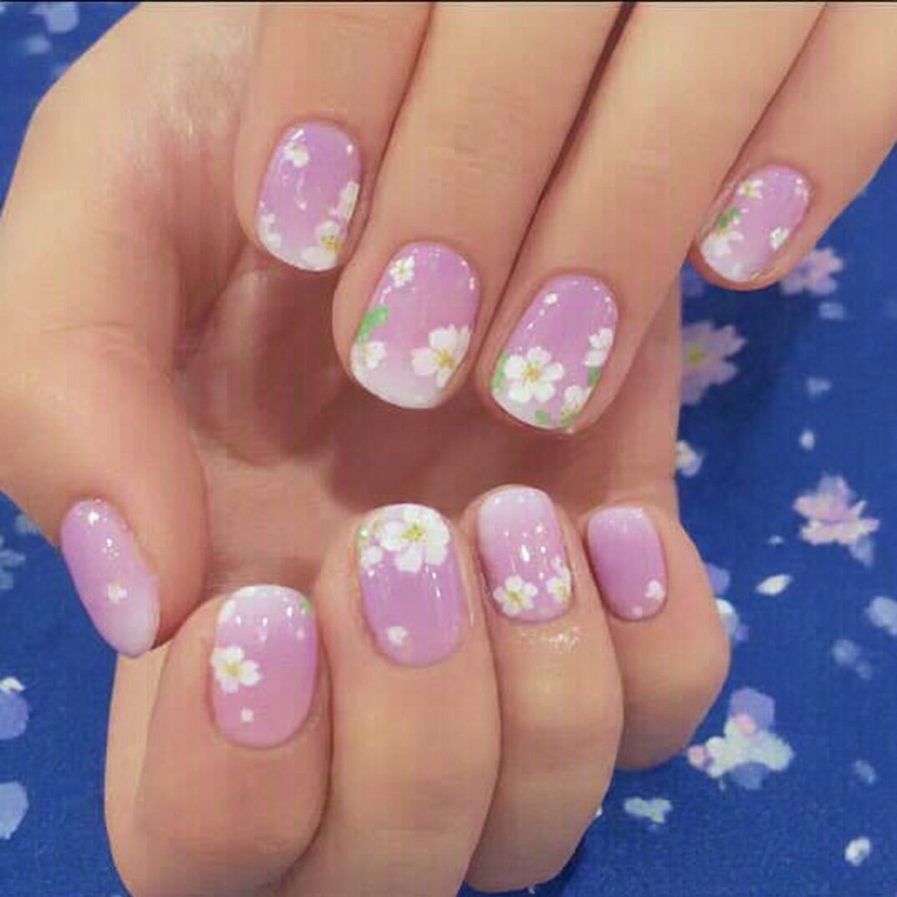 pink and white ombre with white floral details hot